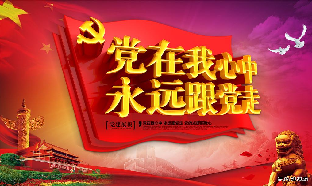 党徽在我心中