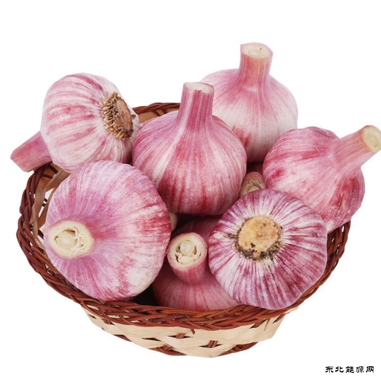 趣说大蒜
