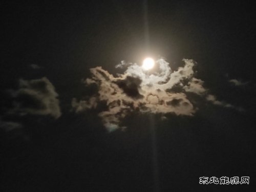 明月照我心
