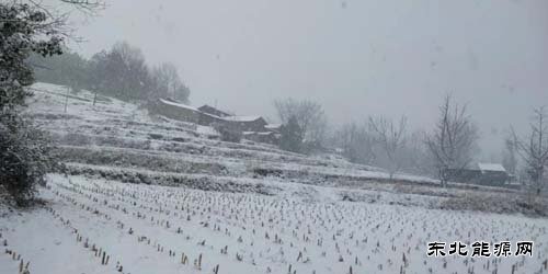 等一场落雪