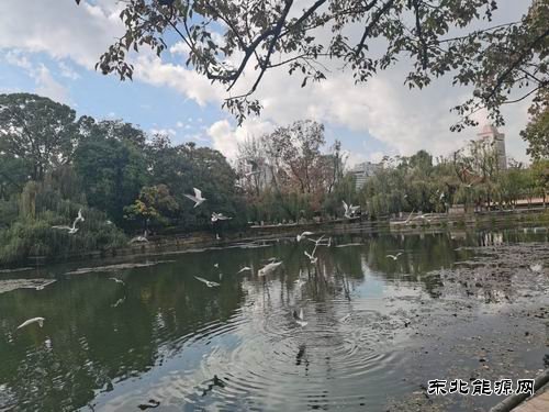 怀念秋天