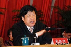张晓阳：十三五期间 燃料乙醇应由试点转向全面推广