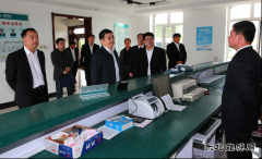 兴凯湖电业局：省电力公司总经理丁扬到兴凯湖电业局调研