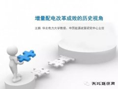 王鹏：配电改革百个试点背后危机四伏