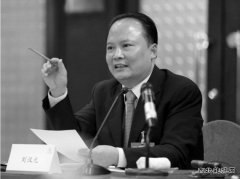 刘汉元：加快光伏产业发展 从根本上破解雾霾之困