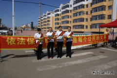 兴凯湖电业局：金沙供电利用农场集贸市场进行安全用电知识宣传