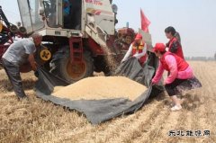 太康县供电公司：走进贫困家庭助麦收