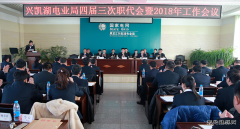 兴凯湖电业局：召开四届三次职代会暨2018年工作会议