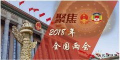 两会声音｜风电行业曙光之下的破局之声