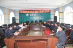兴凯湖电业局：陈殿军局长参加东海供电主题安全日活动