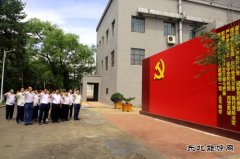 佳木斯供电公司开展“做好先行官、架起连心桥”主题党日活动