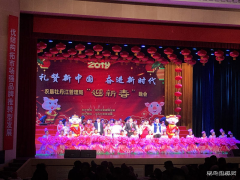兴凯湖电业局：为农垦牡丹江管理局迎新春巡回演出大开绿灯