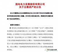 1元收购，背负18亿债务！谁将接盘国电电力？