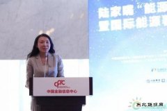 金淑萍：集众智合众力 中国海油创新助力天然气产业健康发展