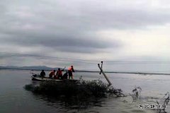 通河供电公司：抗洪抢险保供电 风雨无阻电力人