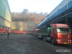 蒲白建庄矿业：日销量创新高 年度强势开局