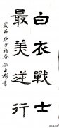 抗疫书法作品