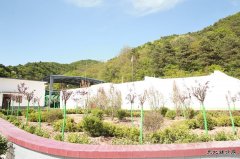 建新煤化：制氮通风搬“新家” 花园风井美如画