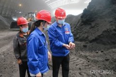 漳电蒲洲热电公司：抓住燃料管理“牛鼻子”