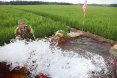 黑龙江兴凯湖电业公司：机井通电扶贫工程让农民走上幸福小康路