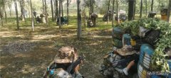 朱家河煤矿产教融合基地又添“新绿”