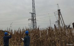 国网大庆供电公司：大同区老百姓用电终于有了“双保险”