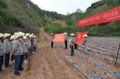 蒲白矿业技校联合党委：“党建+”引领产教融合“跑起来”