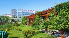 蒲白建庄矿业：懂得敬畏，才是真正强大的开始