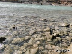 年关