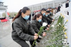 太康县供电公司：清明祭英烈 精神永传承