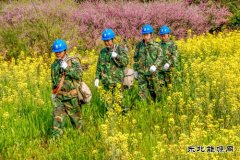 江西婺源：花香“电亮”农家乐