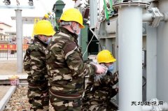 黑龙江兴凯湖电业公司：“党建+春检”筑牢供电安全防护网