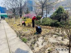 陕煤陕北矿业涌鑫公司：添绿抖尘  矿区处处展“新颜”