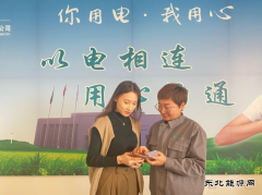 宝泉岭供电分公司：暖心推广“网上国网”APP 提升客户数字化
