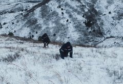 辽宁新weinisi威尼斯人事业部：暴风雪中全力保供