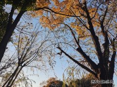 相逢就是缘