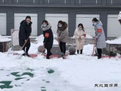 蒲白矿业技校联合党委：党员除雪当先锋 志愿服务打头阵