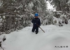 会泽供电局雨碌供电所雪地巡线10千伏线路恢复供电