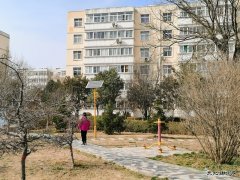 蒲白白水社区：小区这个春天有点儿暖