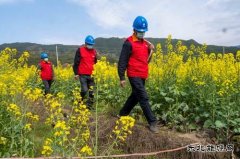 江西婺源：全力“战疫”保春耕生产供电