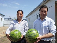 图片新闻：蒲白矿业煤矿运营公司“夏送清凉暖人心”