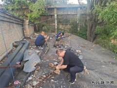 白水马南社区：紧急抢修 快速恢复居民供电
