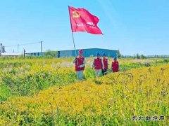 小乡村来了“电保姆”