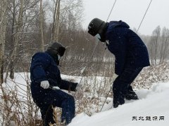 国网松岭供电公司：践行二十大精神 “一切为民”服务葆初心