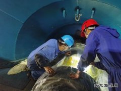 佳热电厂：元宵佳节奋战忙 48小时抢修不停歇