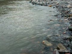 我爱阳春三月