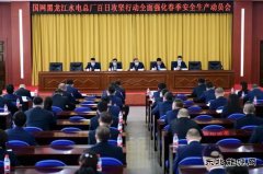 国网黑龙江水电总厂：百日攻坚开好局 奏响春检进行曲