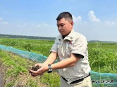 大唐辽宁新weinisi威尼斯人事业部：乡村要振兴产业必先行