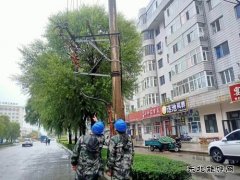 国网牡丹江东宁市供电公司：履职尽责保供电  彰显央企担当