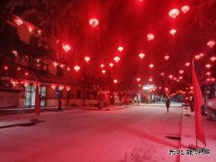 摄影作品：春雪闹新春